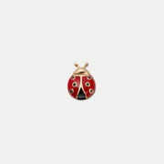 Ladybug Charm
