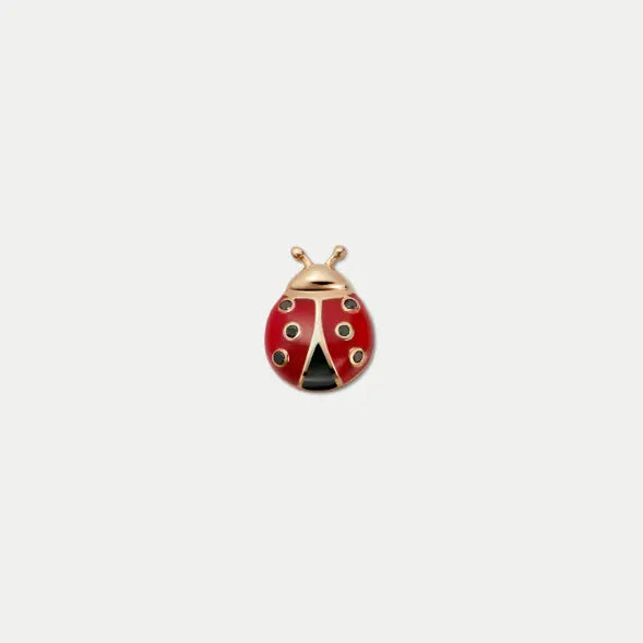 Ladybug Charm